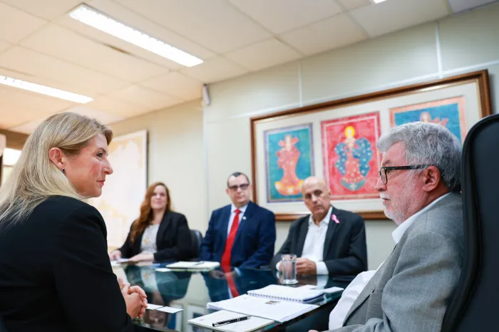SDE recebe Embaixada da Suécia e discute oportunidades de cooperação econômica