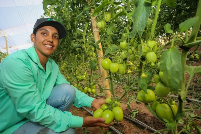 Dia Internacional da Mulher Rural: Governo de SP dobra limite de crédito exclusivo para produtoras desde 2024
