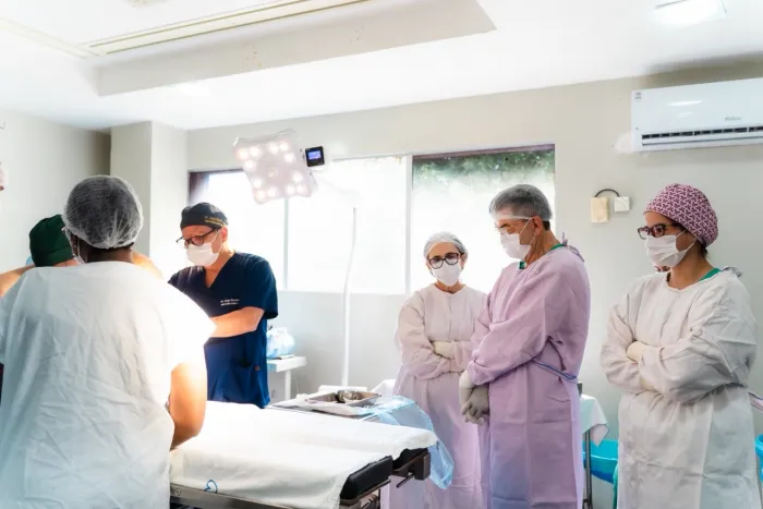 Mãe de quadrigêmeos recebe alta da UTI materna do Instituto Cândida Vargas e bebês seguem bem
