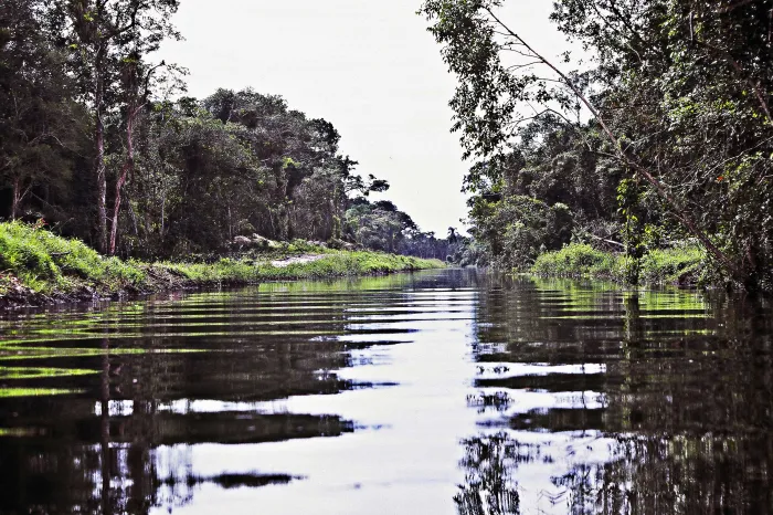 Foto: Denis Ferreira Netto/SEDEST