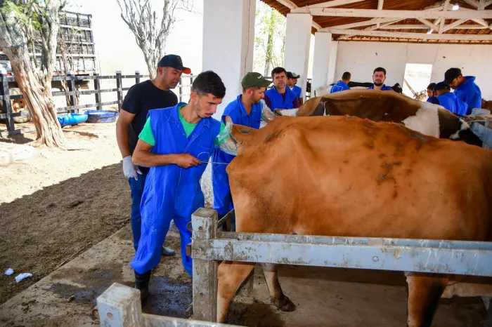 Secretário de Estado da Agricultura e Pecuária, Marcelo Melo, destacou a importância da capacitação - Karine Tavares/Ascom Seagri