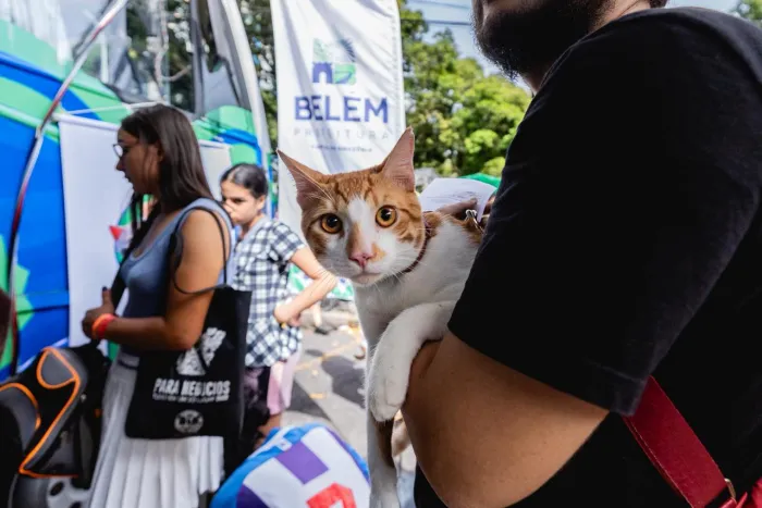 Prefeitura já vacinou cerca de 13 mil cães e gatos contra a raiva