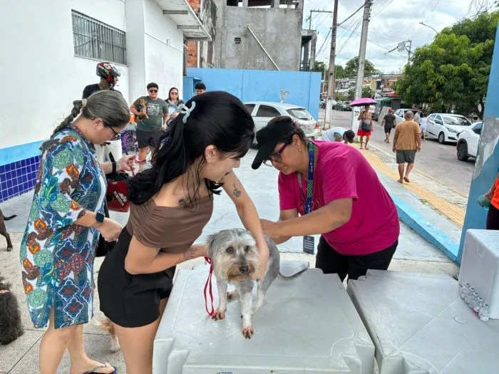 Vacinação antirrábica protege pets e moradores em Belém