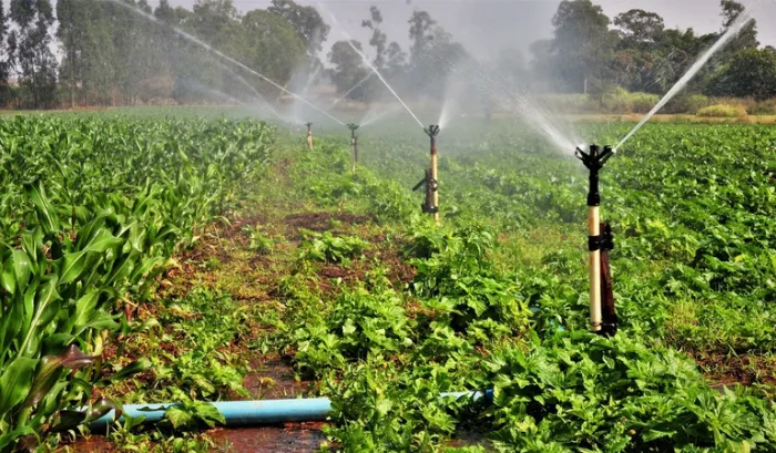 Novo curso da Fatec Cariri, Gestão do Agronegócio visa apoiar expansão agrícola sustentável