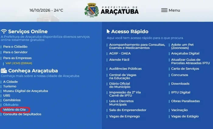 Foto: Reprodução/Prefeitura de Araçatuba - SP