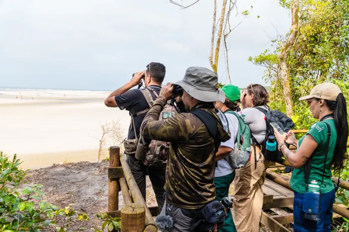 Festival das Aves de Bertioga convida a comunidade a “conectar horizontes” em palestra sobre conservação e turismo de natureza