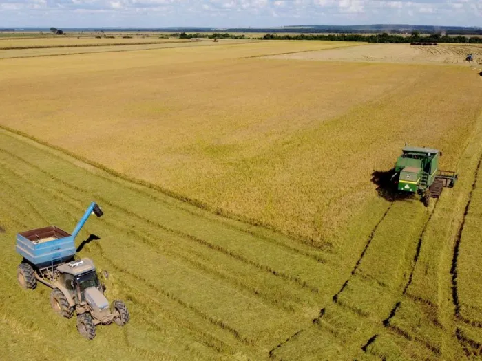 TV Assembleia: Semeando Informação analisa o desempenho recorde da agropecuária paranaense em 2025