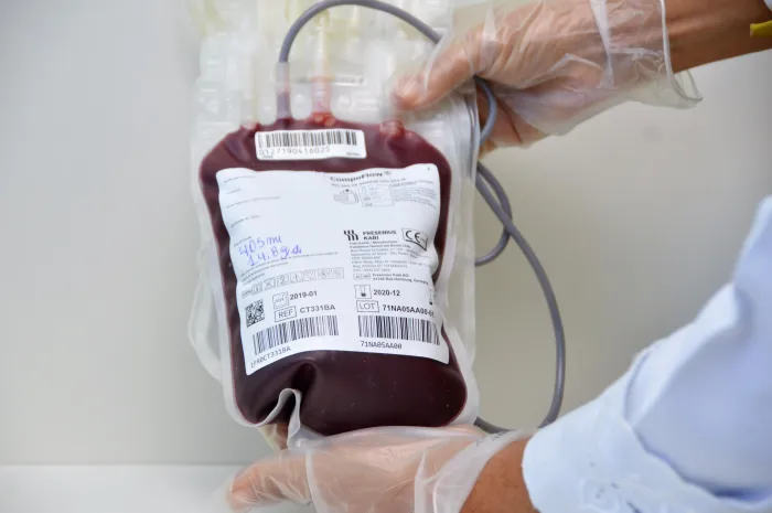 Candidatos à doação de sangue devem seguir os critérios estabelecidos pelo Ministério da Saúde - Carla Cleto / Ascom Hemoal