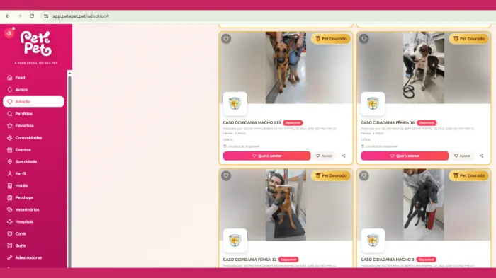 Bem-Estar Animal lança catálogo digital para adoção de pets
