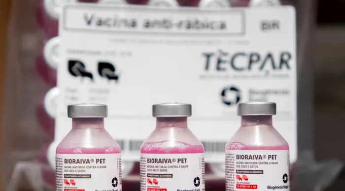 Saúde de Sergipe distribui 350 mil doses de vacina antirrábica animal aos municípios