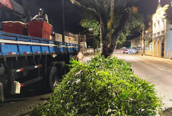 Sedurb inicia o serviço de podas de árvores no percurso da Romaria da Penha
