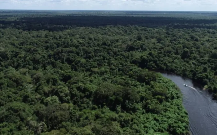 Entre as iniciativas desenvolvidas estão as operações de fiscalização e combate aos ilícitos ambientais, além das operações Hileia e Verde Rondônia e de outras ações integradas voltadas à prevenção do desmatamento