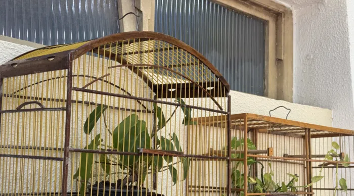 Adema destina gaiolas apreendidas para reaproveitamento sustentável e fortalece compromisso ambiental
