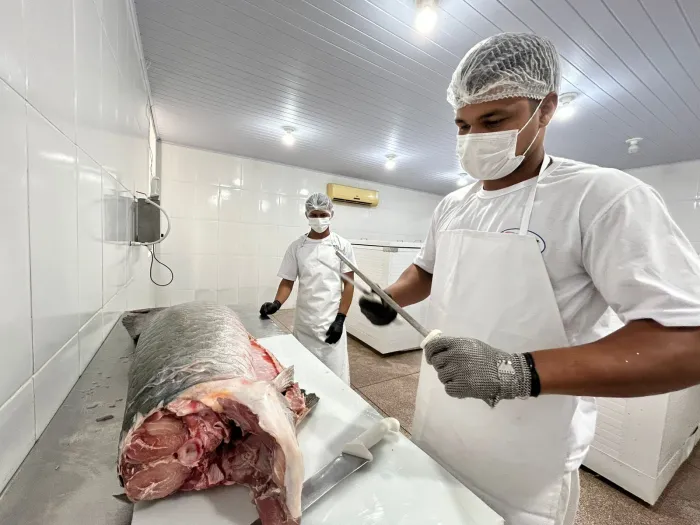 Serviço facilita a regularização sanitária e amplia oportunidades de mercado