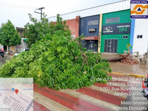 Com chuva intensa, Compdec atua em vários pontos de Sorriso