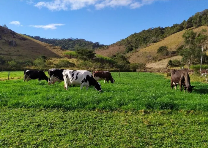 Emater-MG orienta pecuaristas com cartilha sobre construção de cercas elétricas para manejo do rebanho