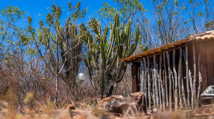 Boletim do El Niño amplia informações à população sobre monitoramento, cenário de seca e ações do Governo de Sergipe