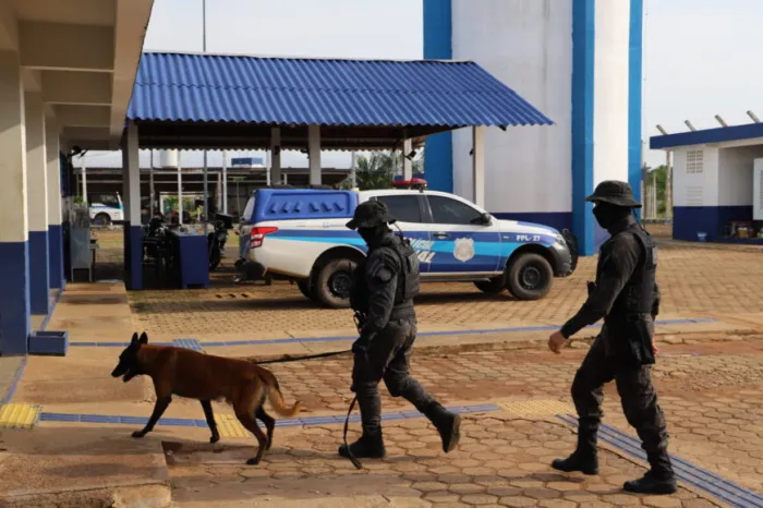 Animais treinados reforçam o trabalho das equipes durante as operações de revista nas unidades prisionais