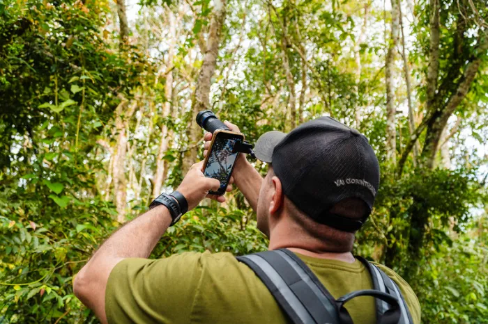 Festival das Aves de Bertioga terá capacitação gratuita para profissionais do turismo