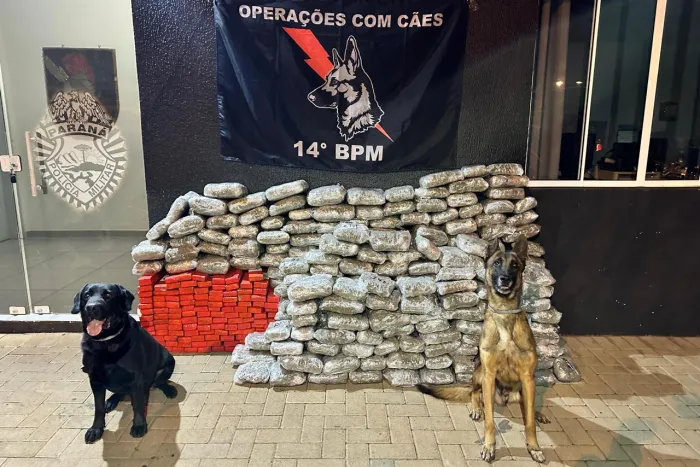 Foto: Reprodução/Secom Paraná