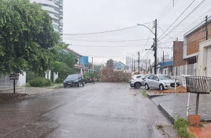 O El Niño pode manter seus efeitos climáticos até 2027