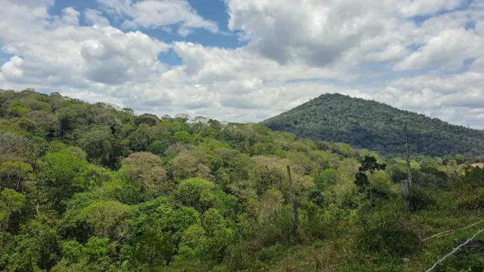 TCSA Porto Sul abre seleção para impulsionar ações de educação ambiental
