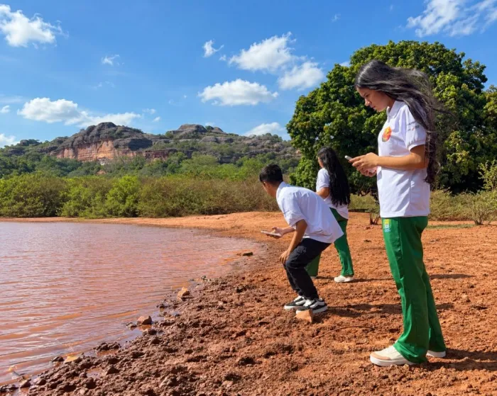 Estudantes da rede estadual unem IA e biologia para monitorar polinizadores em Guaribas