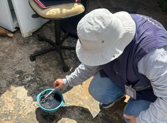 Quarta avaliação larvária alerta para a importância de eliminar criadouros do mosquito da dengue