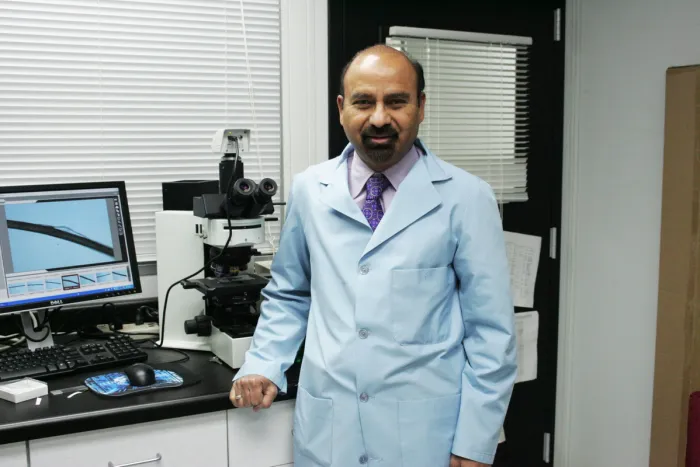 Avlon Brasil 
