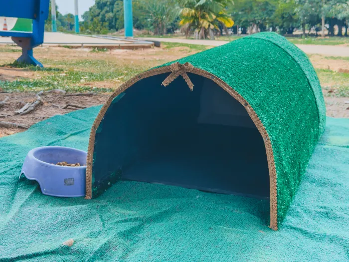 Prefeitura instala abrigos para gatos em espaços públicos