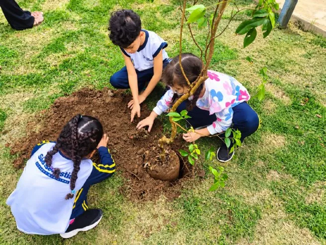 Educação ambiental mobiliza alunos de seis escolas municipais em ação de plantio em São Sebastião
