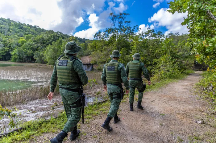 Polícia Militar resgata jaguatirica em área urbana no município de Penedo
