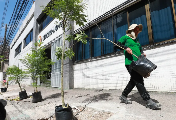 Prefeitura promove arborização e alerta para podas irregulares