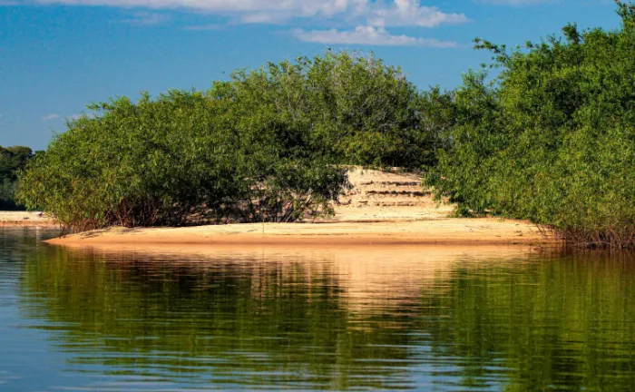Recursos do Fundo Amazônia serão utilizados no monitoramento ambiental e no combate ao fogo, principalmente no Cantão - Foto: Fernando Alves/Governo do Tocantins