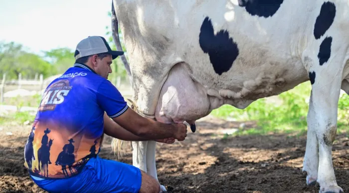 Sergipe registrou recordes na produção de leite, ovos de galinha e mel em 2025