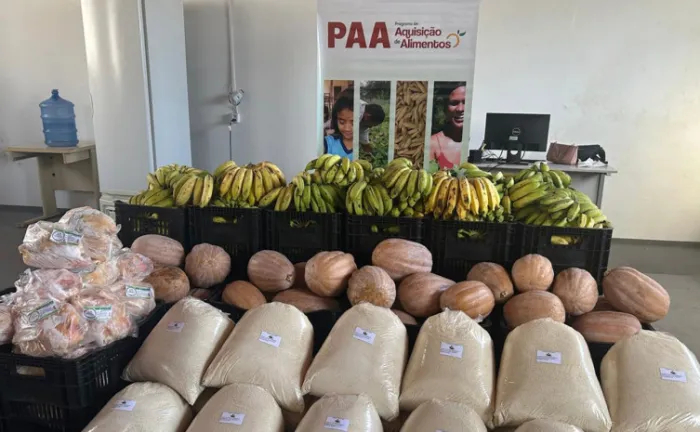 Programa de Aquisição de Alimentos abre cadastramento para agricultores familiares e entidades