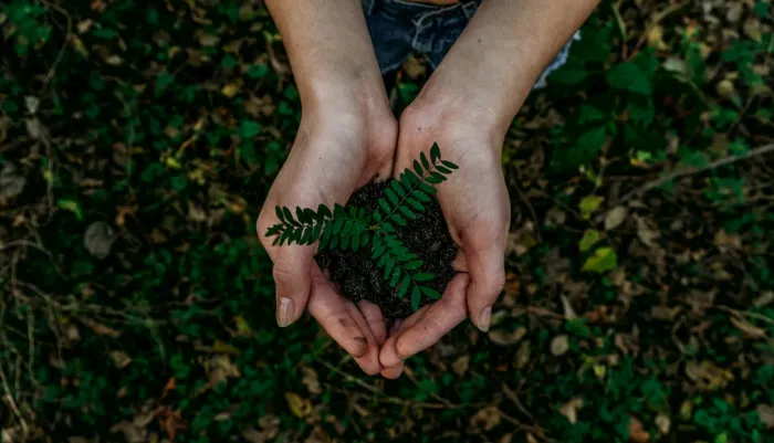 Unsplash/Noah Buscher