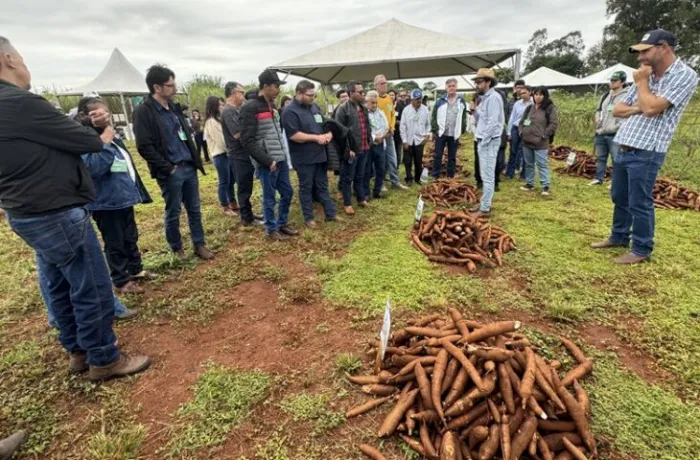 Foto: Reprodução/Secom Mato Grosso do Sul