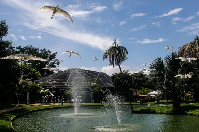 Estação das Docas, Mangal das Garças e Parque do Utinga funcionam no Dia de Finados
